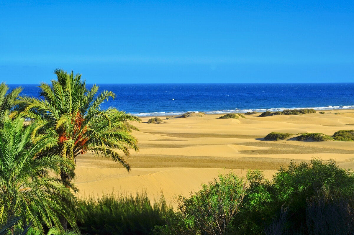 Γκραν Κανάρια (Κανάριοι Νήσοι), Ισπανία